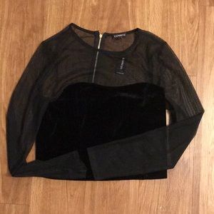 Express Mesh/Velvet top